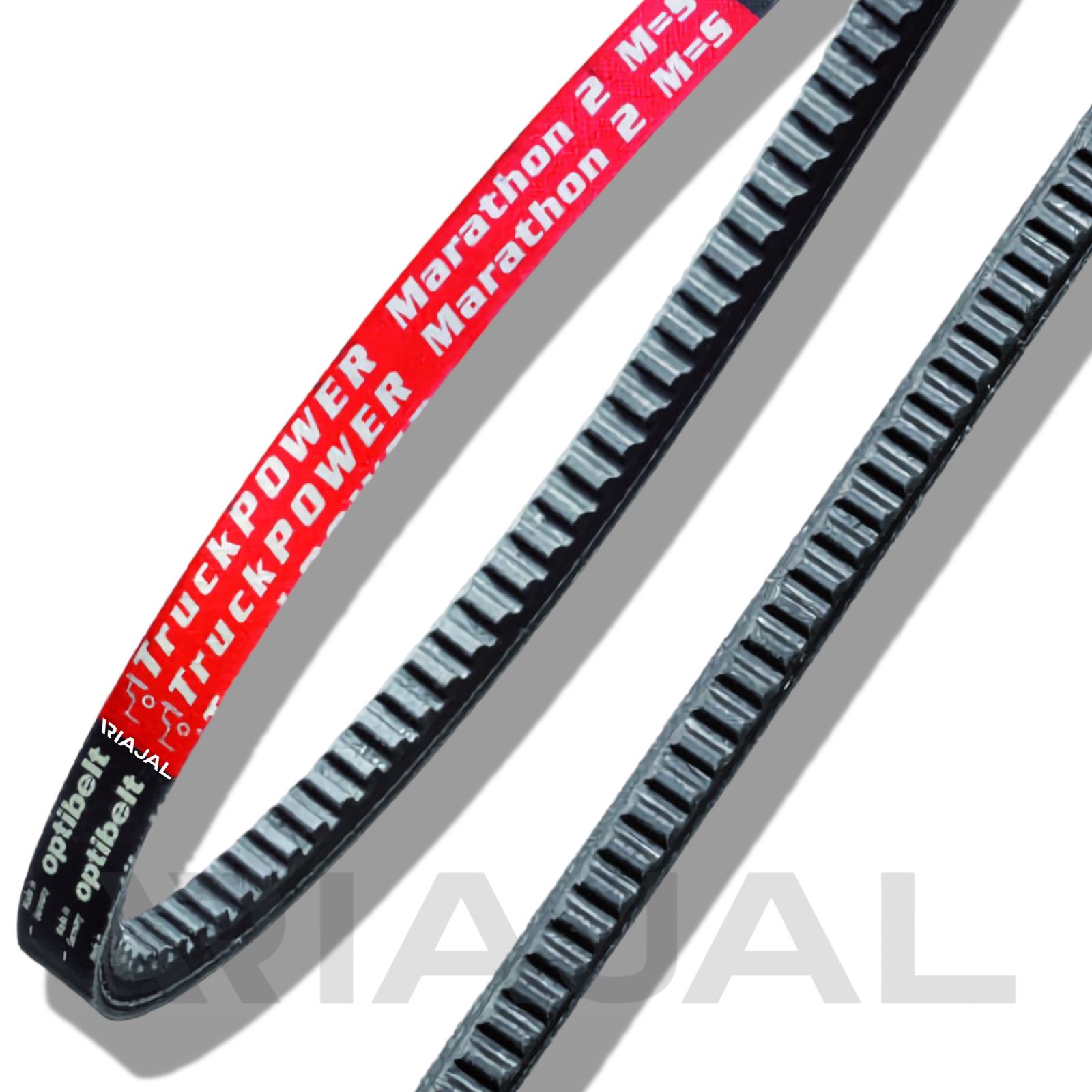 AVX 10 AVX 13 AVP13 XPB AVX 10 AVP 10 AVX 15 AVX 17 AVP 13 2550 OPTIBELT - Imagen 1